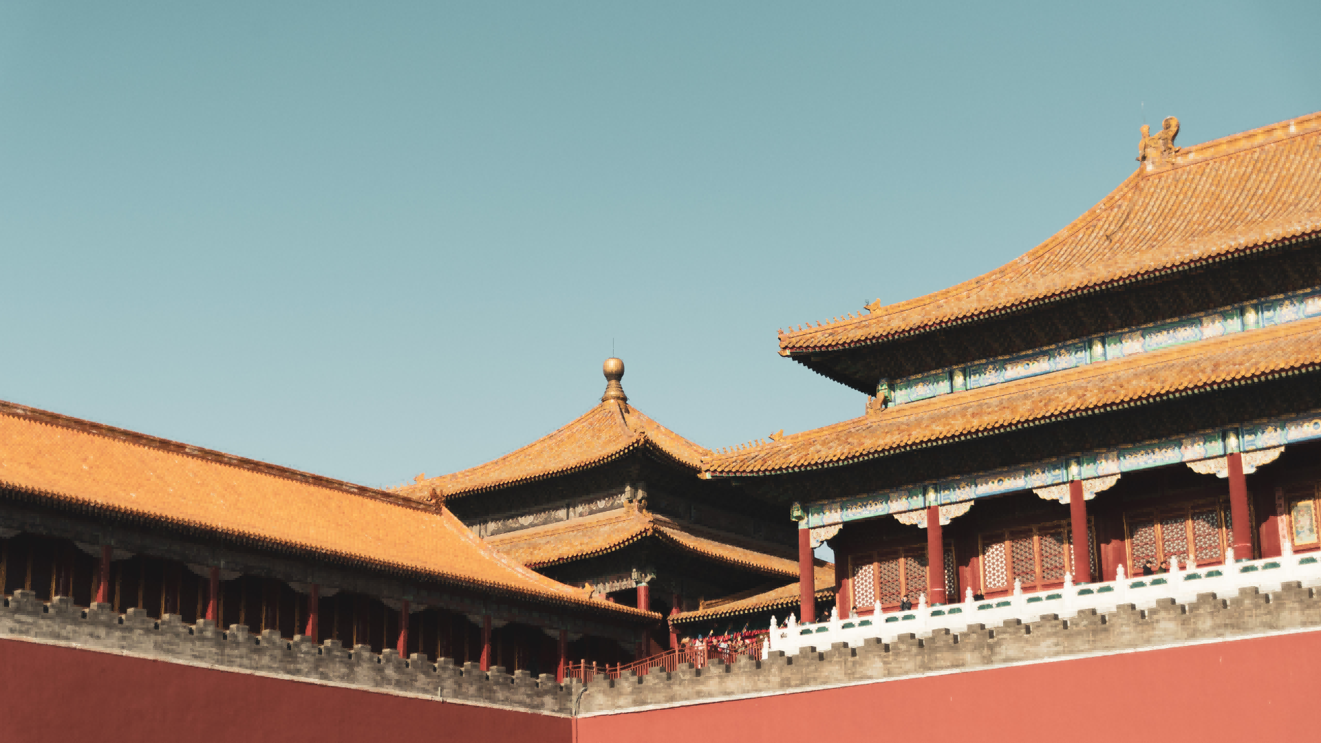 业务范畴